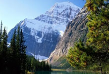 华体会皇马赞助商-包含雄鹿逆转奇才，继续保持不败记录的词条