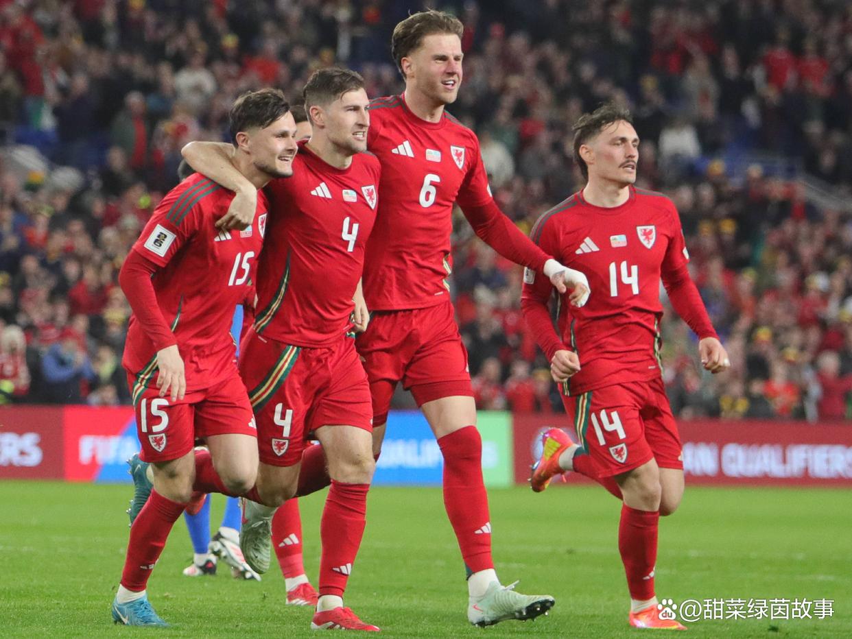 包含比利时对阵威尔士，双方球队实力对比的词条